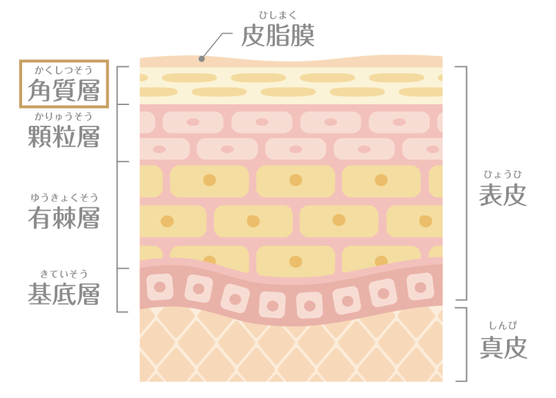 角質ケアについて